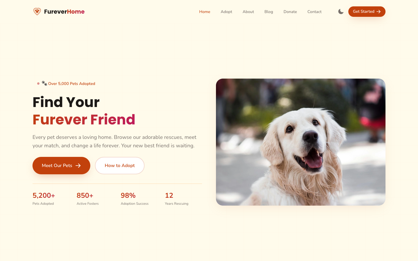 FureverHome template preview