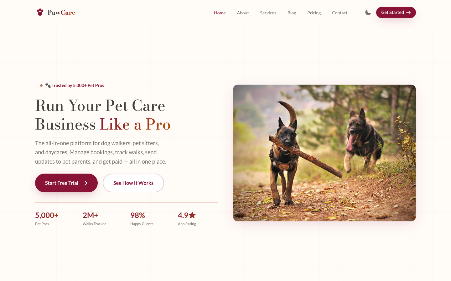PawCare template preview